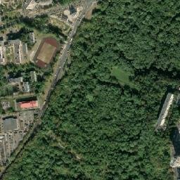 Davydkovo map(satellite map)