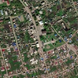 Shalinskoye map(satellite map)