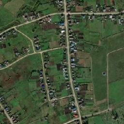 Duvan map(satellite map)