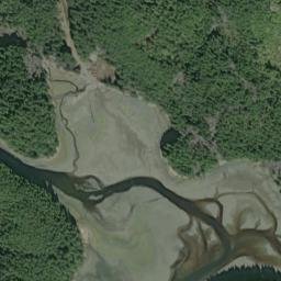 Salt Chuck Alaska High Resolution Satellite Map