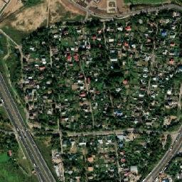 Yam map(satellite map)