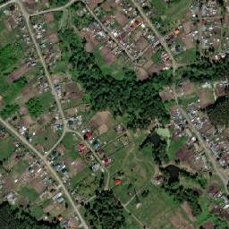 Dubrovino map(satellite map)