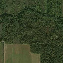Sharkawshchynski Rayon map(satellite map)