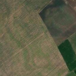 Nizhnekamskiy Rayon map(satellite map)