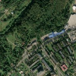 Shishkin Les map(satellite map)