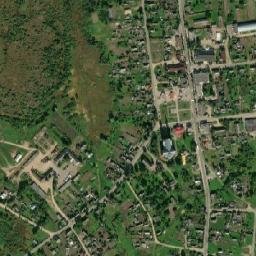 Vidzy map(satellite map)