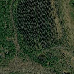 Melenkovskiy Rayon map(satellite map)