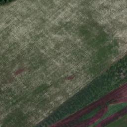 Chistopol’skiy Rayon map(satellite map)