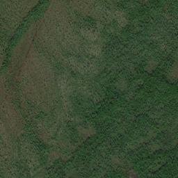 Tyndinskiy Rayon map(satellite map)