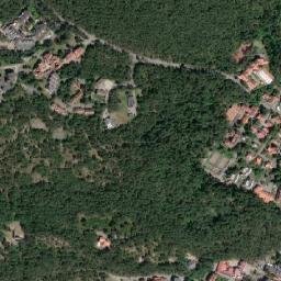 Nida map(satellite map)