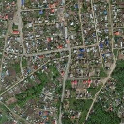 Lesnikovo map(satellite map)
