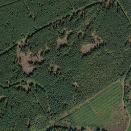 Northumberland map(satellite map)