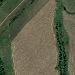 Muslyumovskiy Rayon map(satellite map)