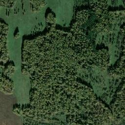 Sosnovskiy Rayon map(satellite map)