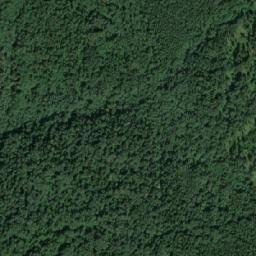 Safonovskiy Rayon map(satellite map)