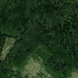 Medynskiy Rayon map(satellite map)