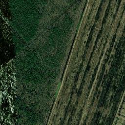 Klepikovskiy Rayon map(satellite map)