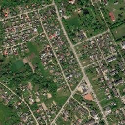 Gelgaudiškis map(satellite map)