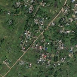 Starokamyshinsk map(satellite map)