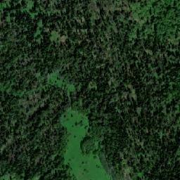 Zelenogorskiy map(satellite map)