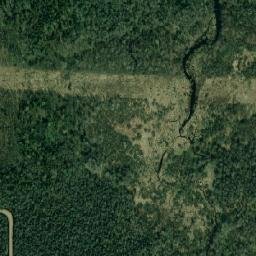 Lyoznyenski Rayon map(satellite map)