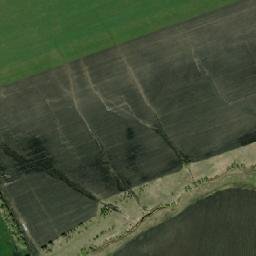 Buinskiy Rayon map(satellite map)