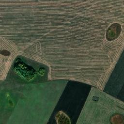 Spasskiy Rayon map(satellite map)