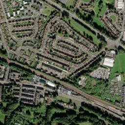 Felling map(satellite map)