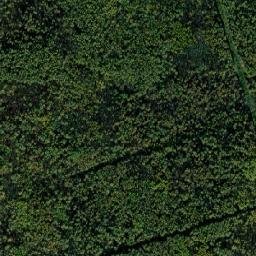Stupinskiy Rayon map(satellite map)
