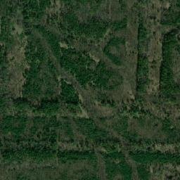 Shemurshinskiy Rayon map(satellite map)