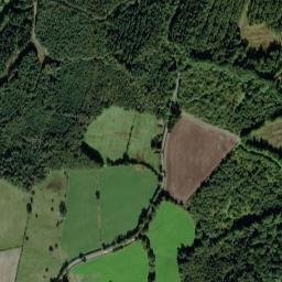 Longclose Bank, Newcastle upon Tyne High Resolution Satellite Map