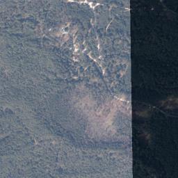 Satelita