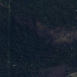 Satelita
