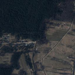 Satelita