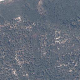 Satelita