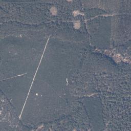 Satelita