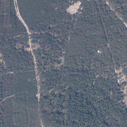 Satelita