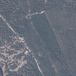 Satelita