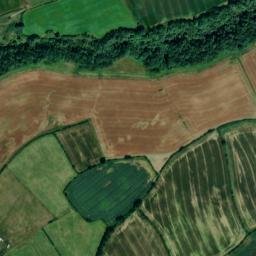Hawthorn map(satellite map)