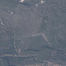 Satelita