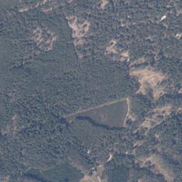 Satelita