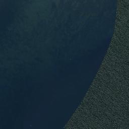 Satelita
