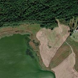 Satelita