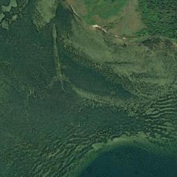 Satelita