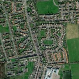 Wingate map(satellite map)