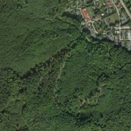 Satelita