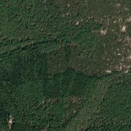 Satelita