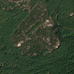 Satelita