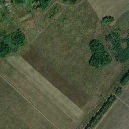 Sosnovka map(satellite map)