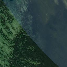 Satelita